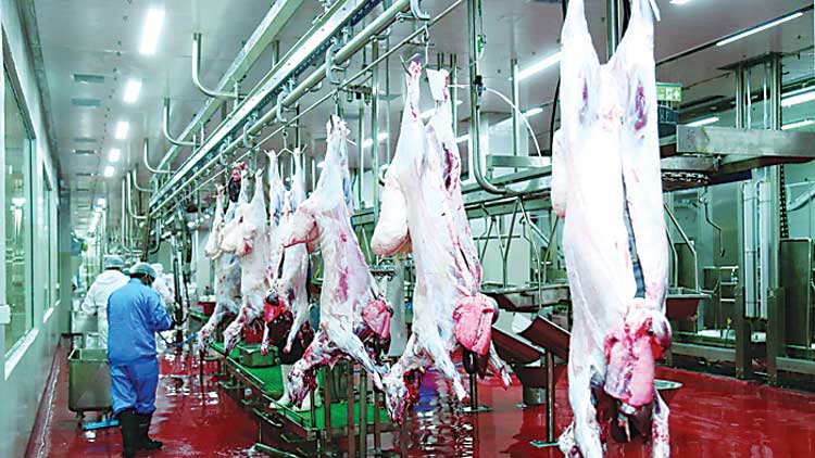 അറവുശാലയും ഹൈടെക്​