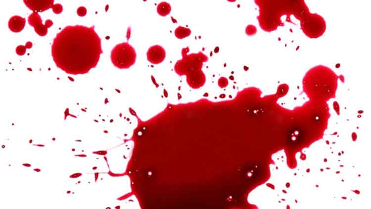 മീൻകുളത്ത് യുവാവിന് വെട്ടേറ്റു; ആറംഗ സംഘം ഒളിവിൽ