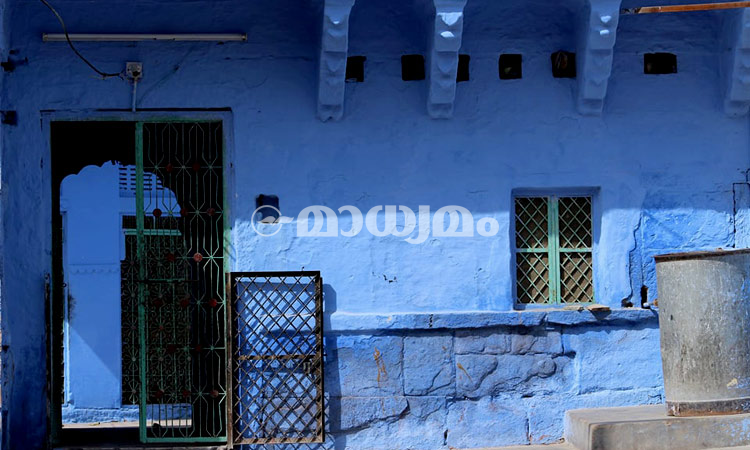Blue Jodhpur