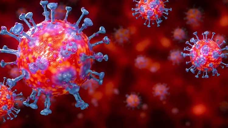 കുവൈത്തിൽ 683 പേർക്ക്​ കോവിഡ്​, 1126 പേർക്ക്​ രോഗമുക്​തി