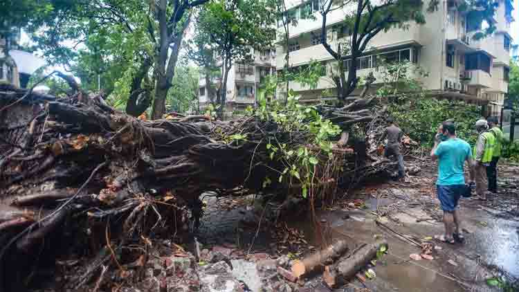 Cyclone-Nisarga-maharastra