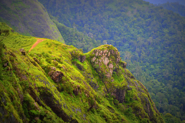 പരുന്തുംപാറയില്‍ ഒരു പകല്‍