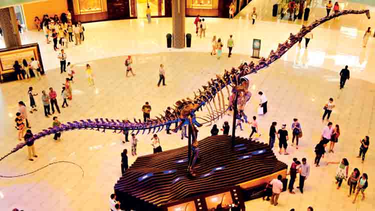 മു​ട​ക്കാ​ൻ 140 ല​ക്ഷം ദി​ർ​ഹ​മു​ണ്ടോ?  ദി​നോ​സ​റി​നെ സ്വ​ന്ത​മാ​ക്കാം!