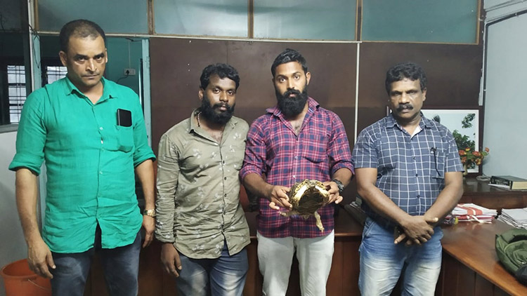 നക്ഷത്രആമയെ വിൽക്കാനെത്തിയ നാലംഗസംഘം പിടിയിൽ നക്ഷത്രആമയെ വിൽക്കാനെത്തിയ നാലംഗസംഘം പിടിയിൽ