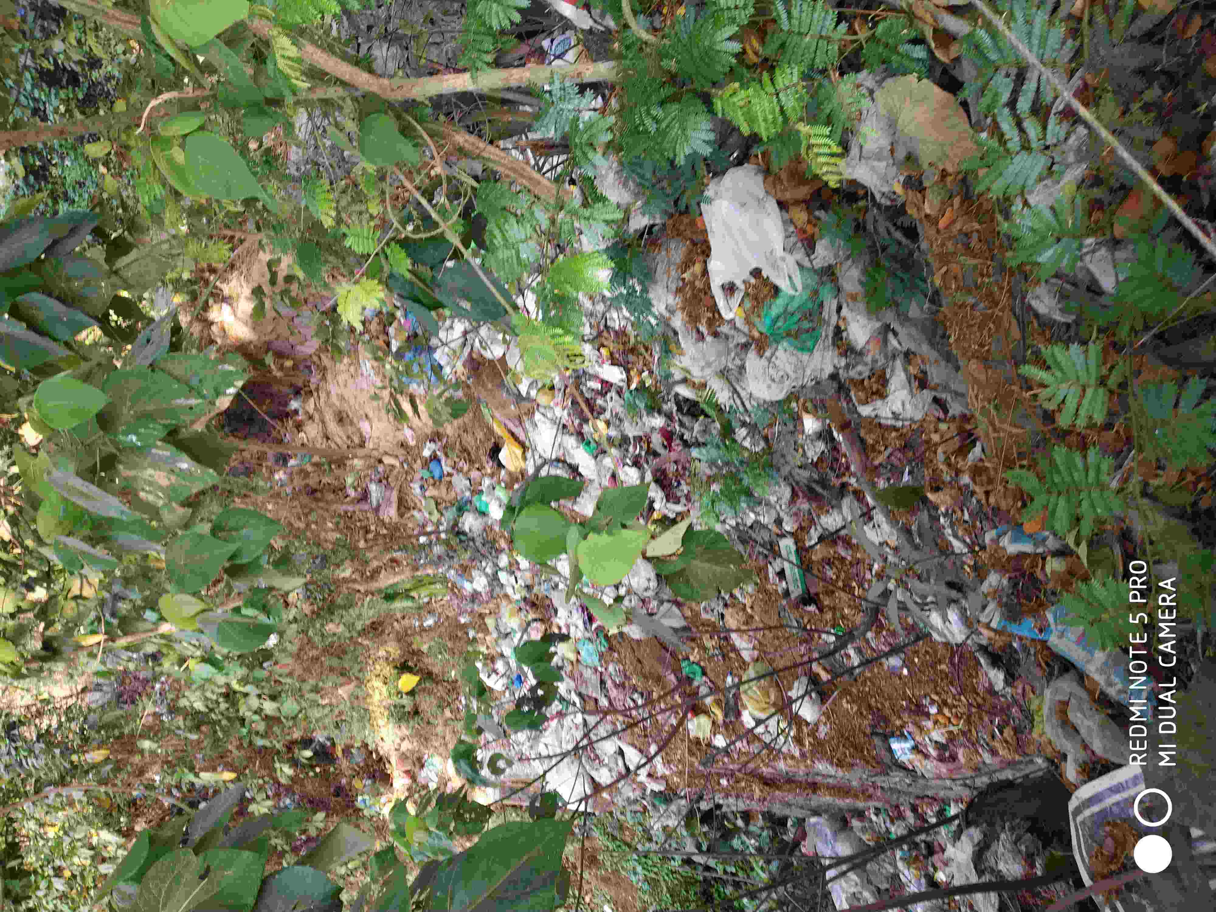 കുപ്പത്തൊട്ടിയായി കുറ്റ്യാടി ചെറുപുഴ