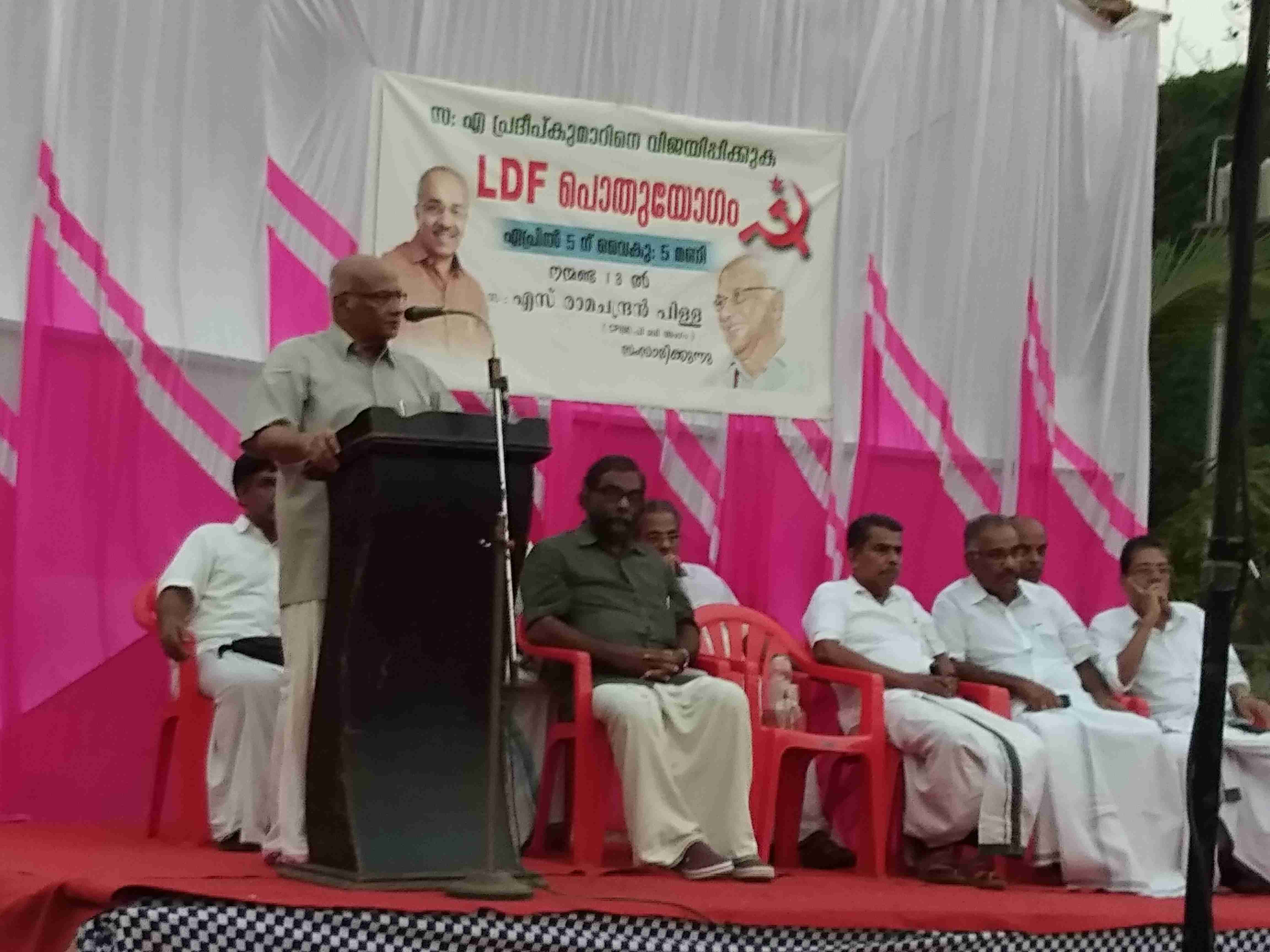 ബി.ജെ.പിക്കെതിരായ വോട്ടുകൾ ഭിന്നിപ്പിക്കാൻ കോൺഗ്രസ് ശ്രമം -എസ്. രാമചന്ദ്രൻ പിള്ള