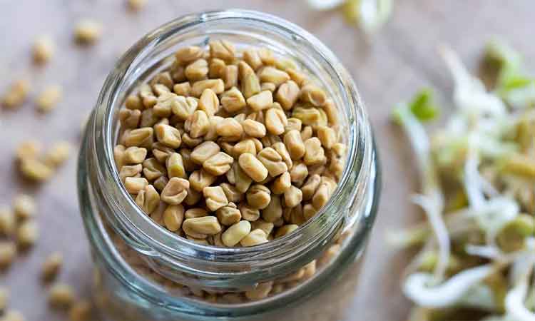 Fenugreek-Seeds