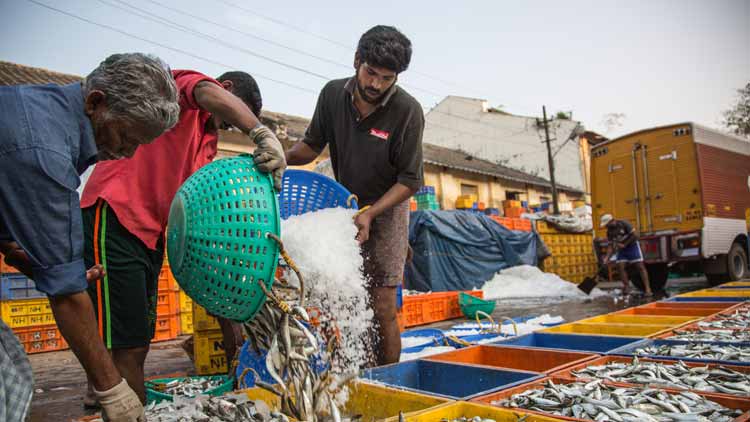 മത്സ്യത്തൊഴിലാളികൾക്ക്​ സൗജന്യ ഭക്ഷ്യക്കിറ്റ് 