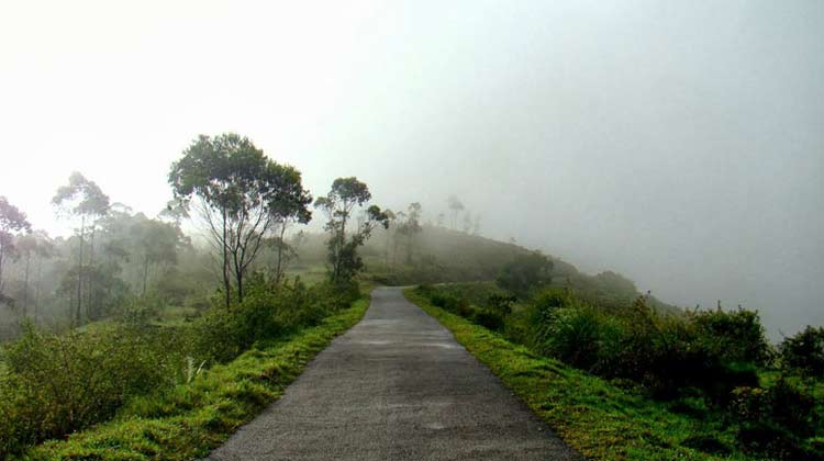 മഴക്കുളിരും കോടമഞ്ഞുമായി ഗവി