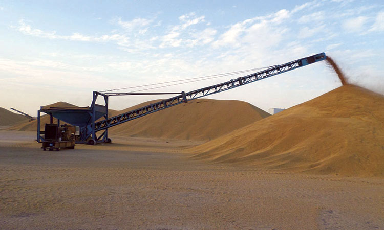 വഴിയോര കാഴ്​ചയിൽ നിറയുന്ന ഗോതമ്പ് മലകൾ