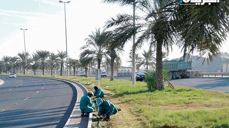 പച്ചപ്പണിയാൻ പുതുപദ്ധതികളുമായി കു​വൈ​ത്ത്