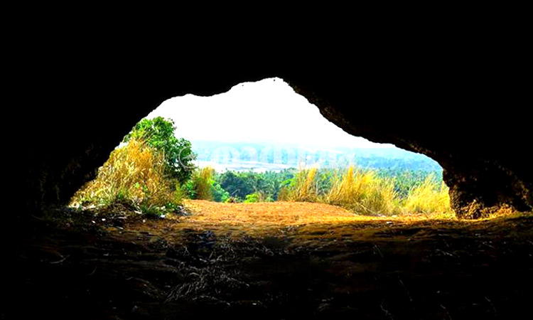 ഓർമകളുടെ കുന്നുകയറി നരിമടയിൽ