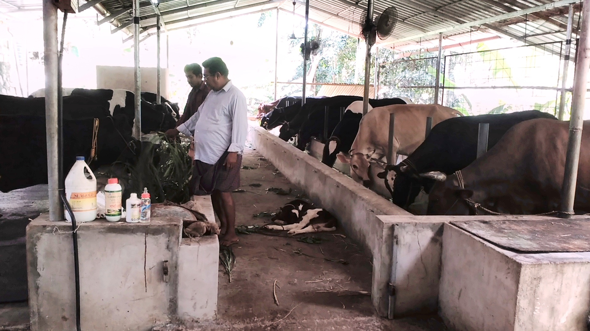 പ്രവാസം വിട്ട് ഹൈടെക് കര്‍ഷകനിലേക്ക്