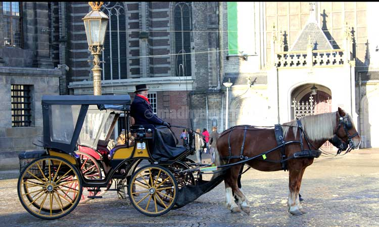 ആംസ്​റ്റർഡാമിന്റെ ആത്മാവിലേക്ക്​....