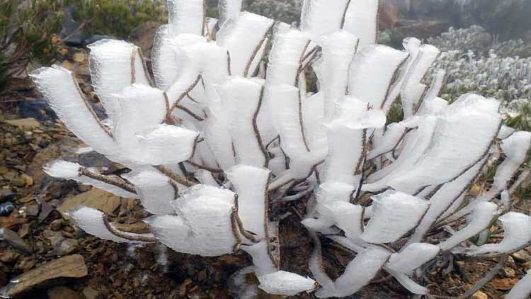 അതി ശൈത്യം: സൈഖിൽ പൂജ്യത്തിൽ താഴെ