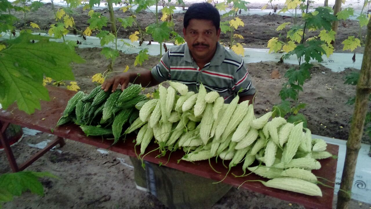 കഞ്ഞിക്കുഴിയിലെ പച്ചക്കറിപ്പെരുമ