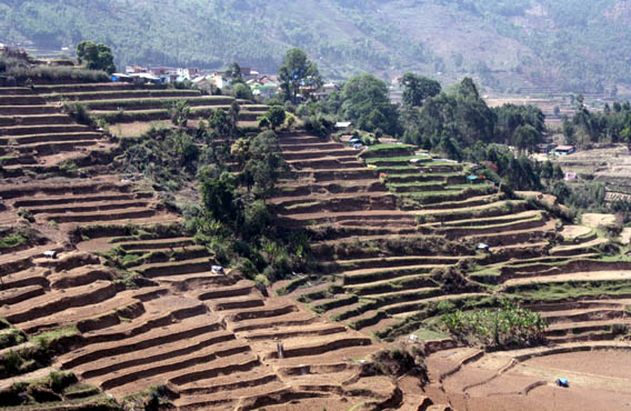 വെയില്‍കൊണ്ട് വരഞ്ഞ മണ്‍ചിത്രങ്ങള്‍