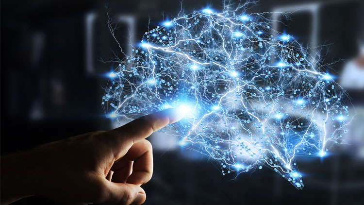 നിങ്ങളുടേത് ഏത് ബുദ്ധിയാണ്?