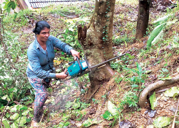 ഏതുമരവും തങ്കമണി മുറിക്കും