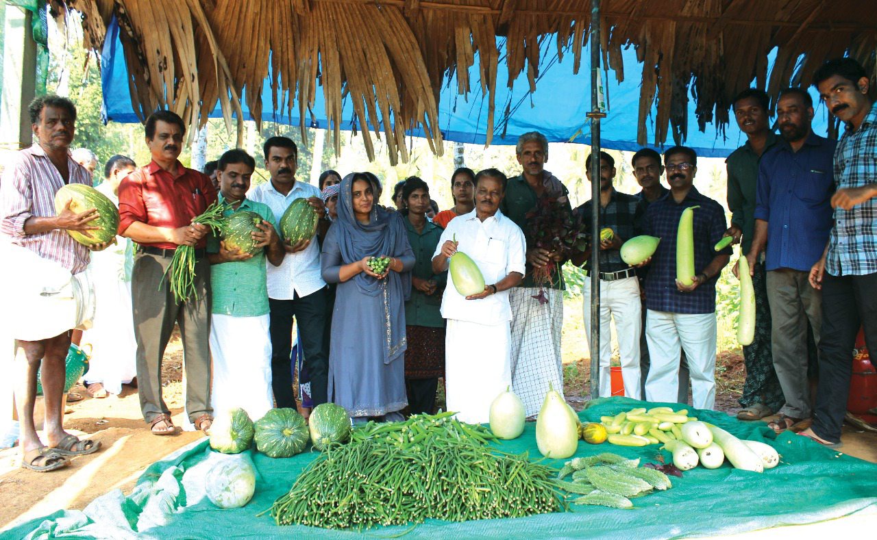 ജൈവ പച്ചക്കറി വിളവെടുപ്പ്​