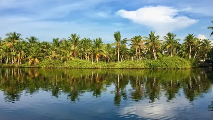 മലയാളി ഭാഷയും സംസ്​കാരവും കൈവിടരുത്​