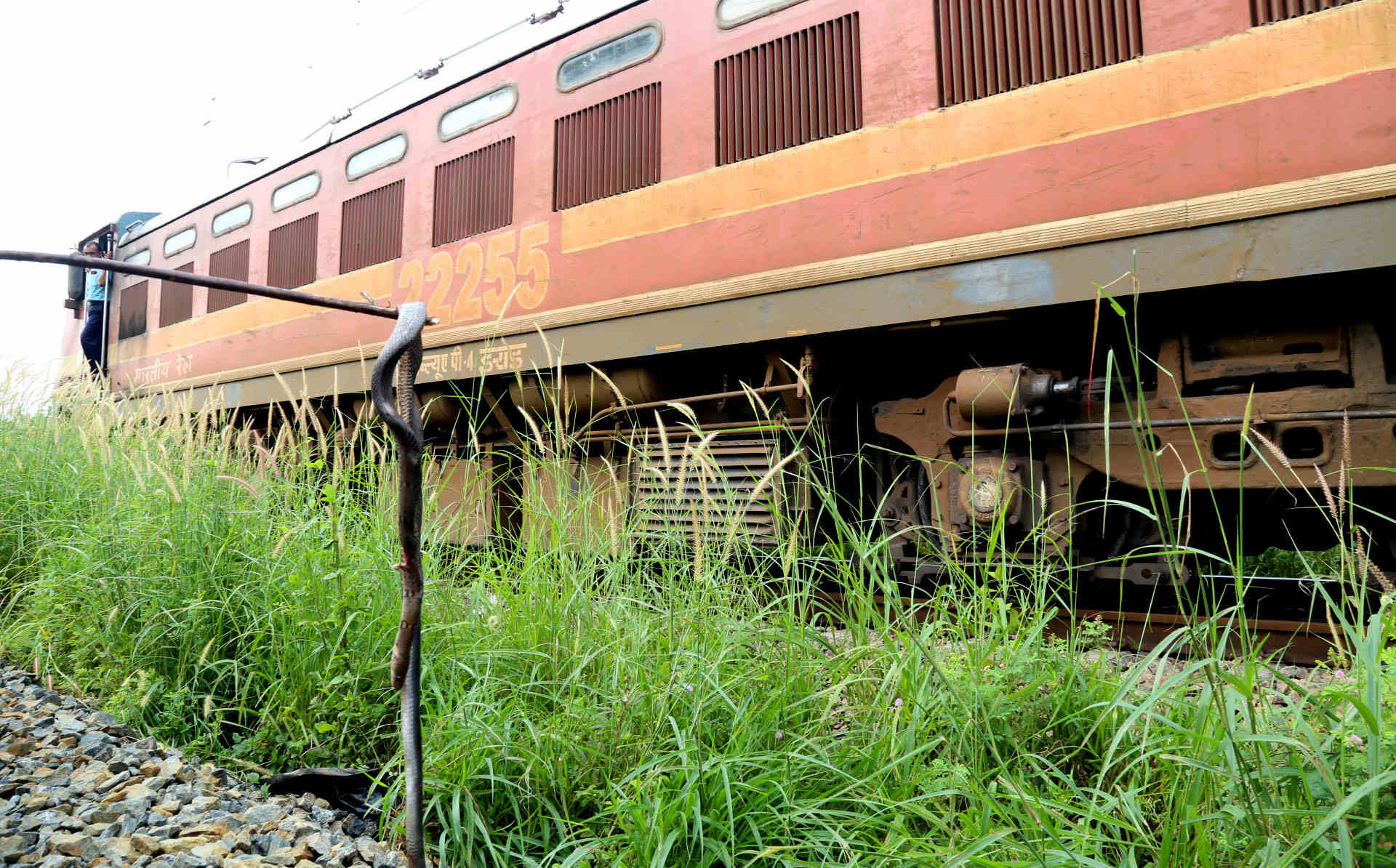 കുമ്പളം-തുറവൂര്‍ പാതയില്‍ നവീകരണം: നാല്​ പാസഞ്ചര്‍ ട്രെയിനുകള്‍ റദ്ദാക്കി