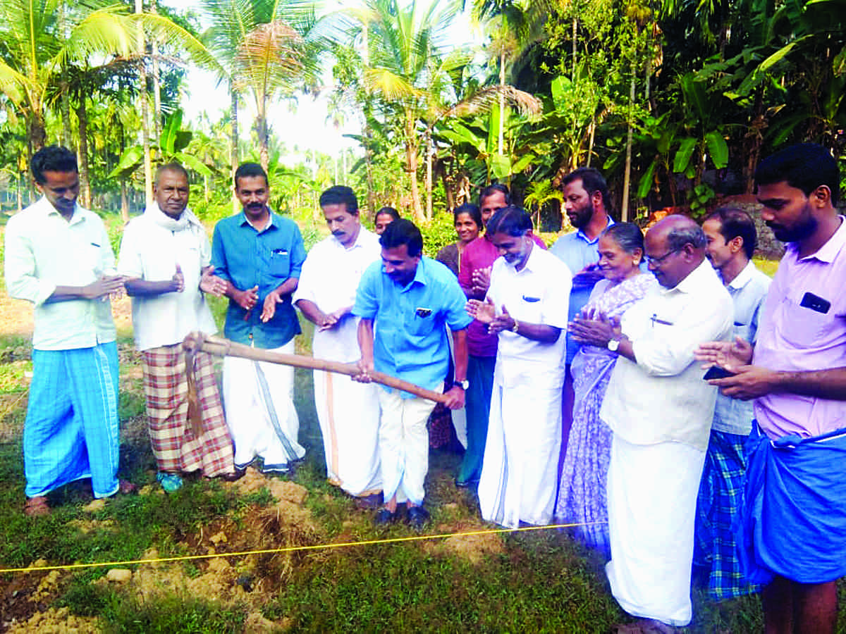 മണ്ണ്, ജലസംരക്ഷണ പ്രവൃത്തി