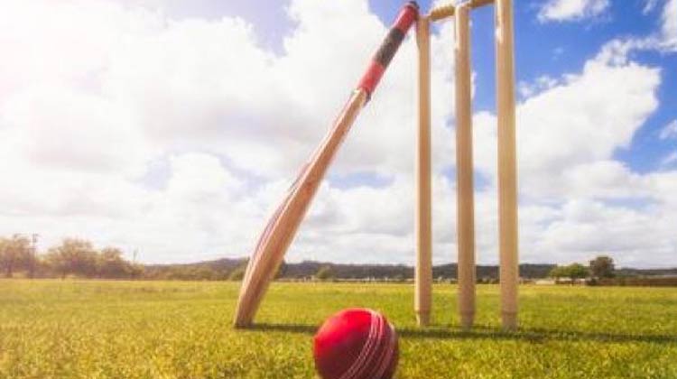 cricket-22719.jpg