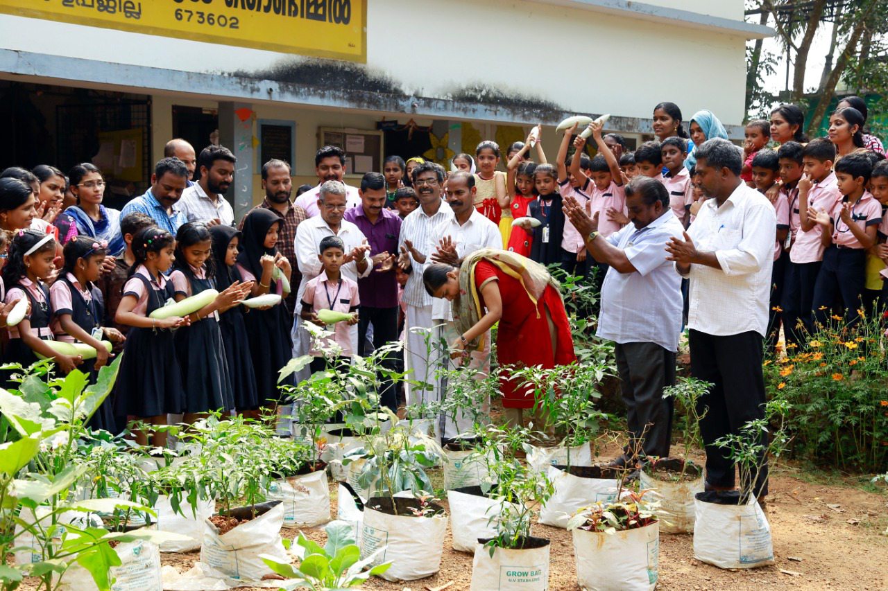 പച്ചക്കറി വിളവെടുപ്പ്