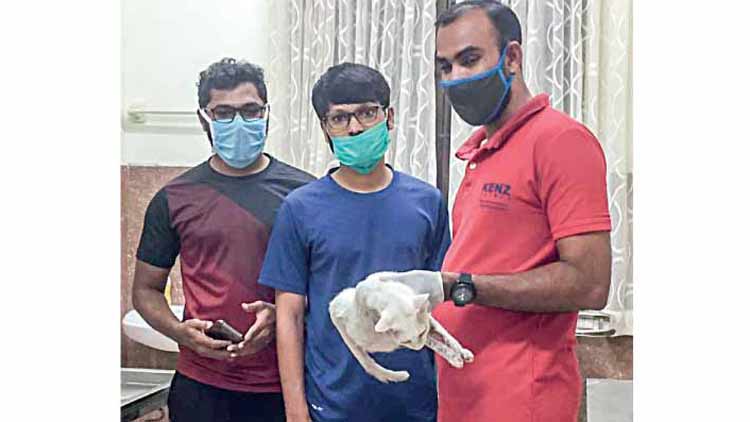 വാ​ഹ​ന​മി​ടി​ച്ച് പൂ​ച്ച റോ​ഡി​ല്‍ പി​ട​ഞ്ഞു; കി​ലോ​മീ​റ്റ​റു​ക​ള്‍ താ​ണ്ടി  ചി​കി​ത്സ ന​ല്‍കി യു​വാ​ക്ക​ള്‍