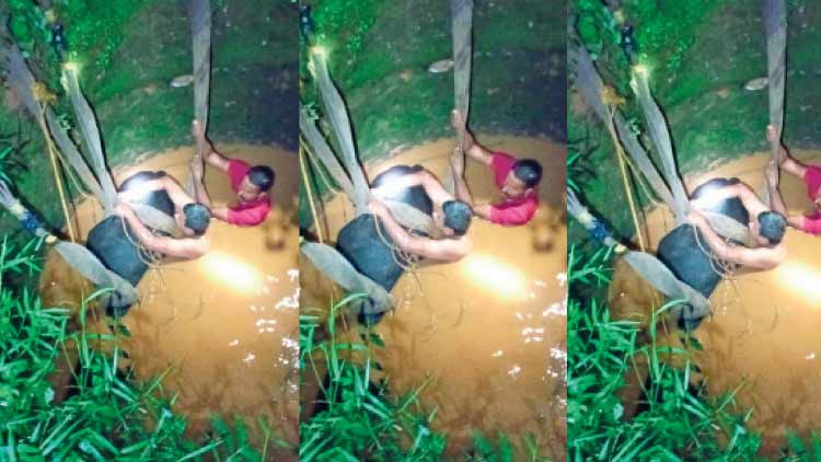 വി​ര​ണ്ടോ​ടി പൊ​ട്ട​ക്കി​ണ​റ്റി​ല്‍ വീ​ണ പോ​ത്തി​നെ ര​ക്ഷി​ച്ചു