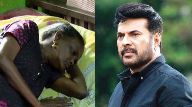 മോളി കണ്ണമാലിയുടെ ചികിത്സാ ചെലവ് മമ്മൂട്ടി ഏറ്റെടുത്തു