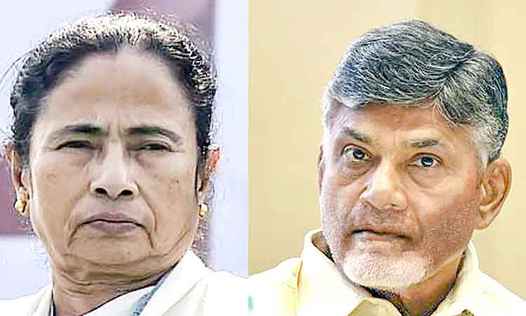 Mamta-and-Naidu