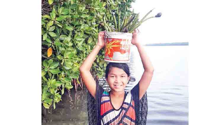 കാസർകോട് എട്ടുലക്ഷം ഫലവൃക്ഷത്തൈകള്‍ നട്ടുപിടിപ്പിക്കും