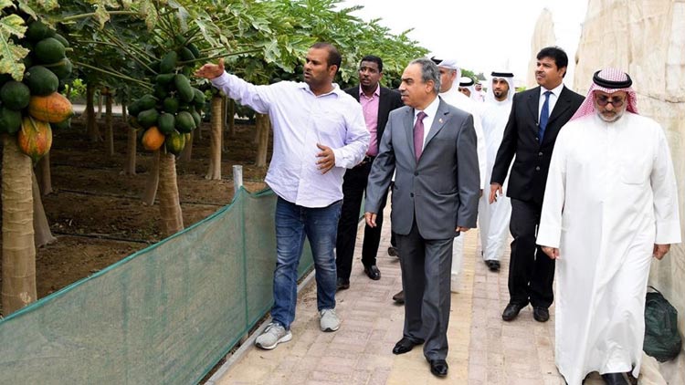 ആ​ധു​നി​ക സാ​ങ്കേ​തി​ക​വി​ദ്യ​ക​ൾ ഉ​പ​യോ​ഗി​ച്ച് കാ​ര്‍ഷി​ക മേ​ഖ​ല വ​ള​ര്‍ച്ച കൈ​വ​രി​ക്കും