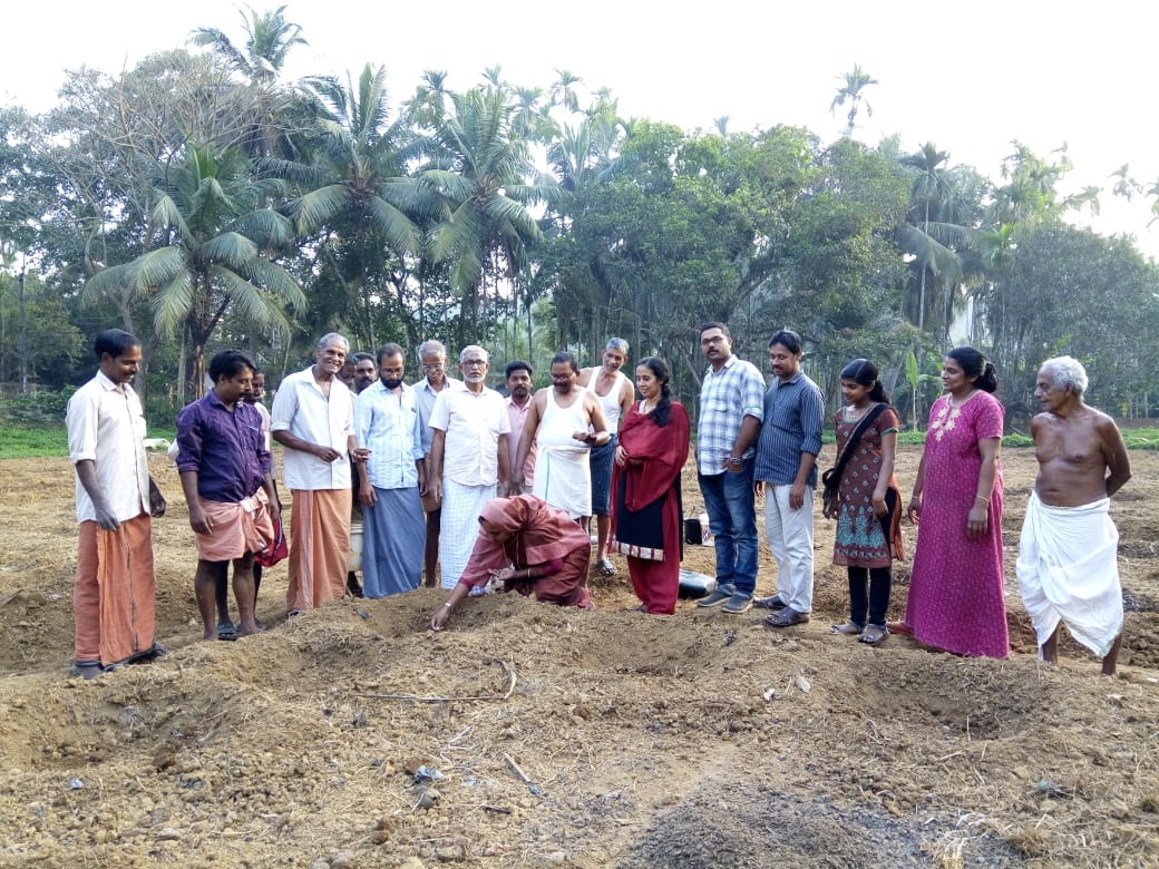ആപ്പുറത്ത് താഴം വയലിൽ പച്ചക്കറി കൃഷിക്ക് തുടക്കം