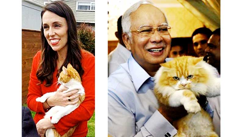 News-land-and-Malasia