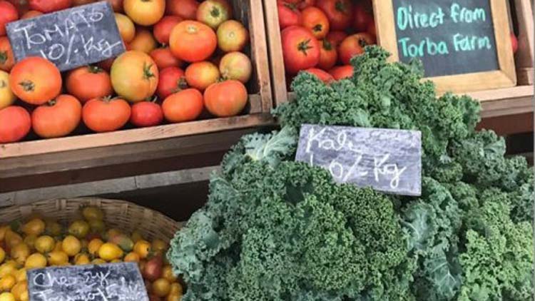 ജൈവ ഉത്​പന്നങ്ങൾക്ക്​​ ആവശ്യക്കാർ ഏറുന്നു