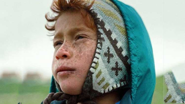 ദോഹ ഫിലിം ഇൻസ്​റ്റിറ്റ്യൂട്ടിൽനിന്നുള്ള  രണ്ട്​ ചിത്രങ്ങൾക്ക് ഓസ്​കർ നാമനിർദേശം