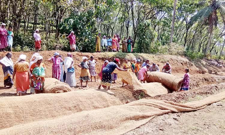 വാലേൽപടിയിൽ തൊഴിലുറപ്പിൽ നൂറുമേനി വിളയിക്കാൻ സ്​ത്രീ തൊഴിലാളികൾ