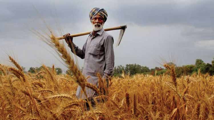 പാക്കേജിൽ പാവങ്ങൾക്ക്​ എന്തു കിട്ടി​​?