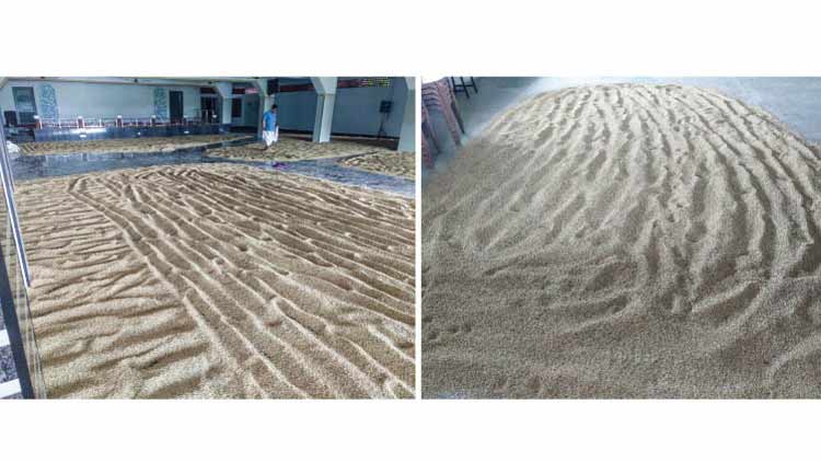 നെല്ല് ഉണക്കാന്‍ പള്ളി, ക്ഷേത്രം ഹാളുകള്‍