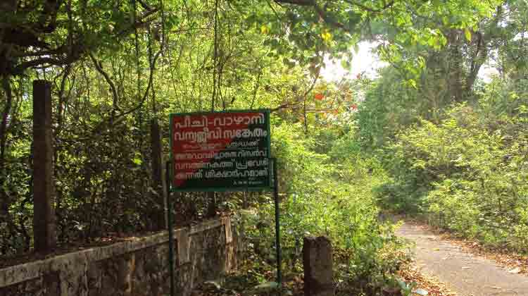 Peechi-Reserve-Forest