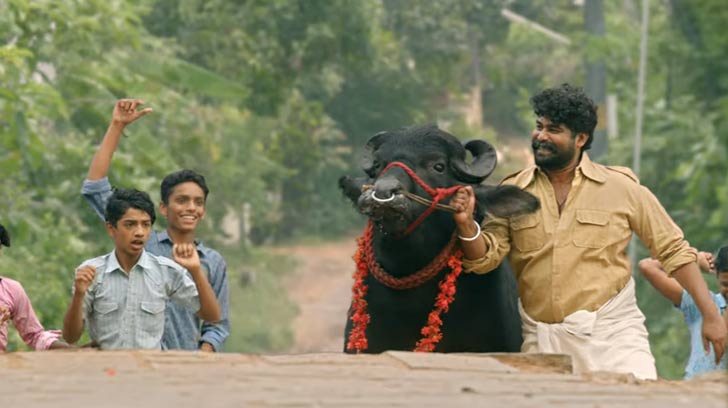 Porinju-mariam-jose-02.08.2019