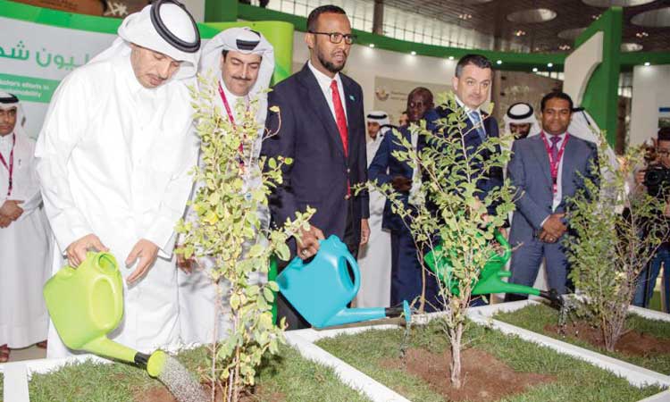 പച്ചപ്പേകാൻ പത്ത്​ ലക്ഷം മരങ്ങൾ