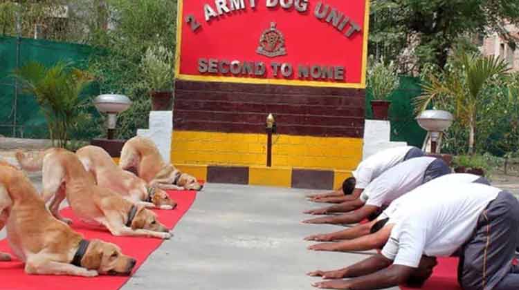 യോഗ ദിനത്തിലെ ന്യൂ ഇന്ത്യ ട്വീറ്റ്; രാഹുൽ ഗാന്ധിക്കെതിരേ പൊലീസിൽ പരാതി