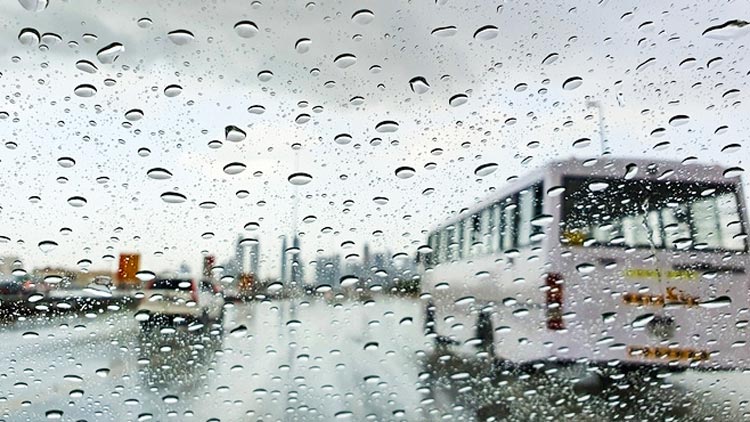 മാനം മഴ തന്നു; മനം കവർന്നു