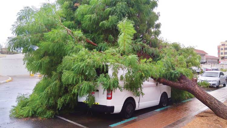 മയമില്ലാതെ കനത്ത പെയ്ത്ത്