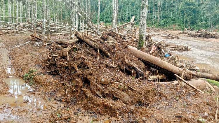 പുത്തുമല വന്നടിഞ്ഞത് ഏലവയലിൽ