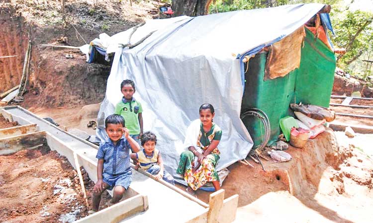 ആ​ദി​വാ​സി ഭ​വ​ന​നി​ർ​മാ​ണ​ത്തി​ന്  വ​നം​വ​കു​പ്പിെൻറ ‘ഉ​ട​ക്ക്’